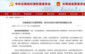 云南省丽江市委原常委、秘书长肖忠万被开除党籍和公职