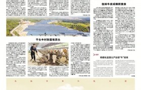《云南日报》聚焦西盟县牛产业为乡村振兴添牛劲