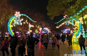 赏花观灯其乐融融 大观公园春节期间接待40余万游人