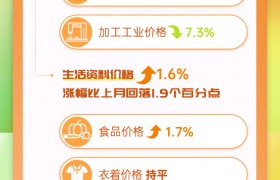 1月份云南PPI环比下降0.1%，同比下降1.8%