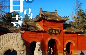 第41届中国洛阳牡丹文化节：时光之旅·穿越时空的邂逅